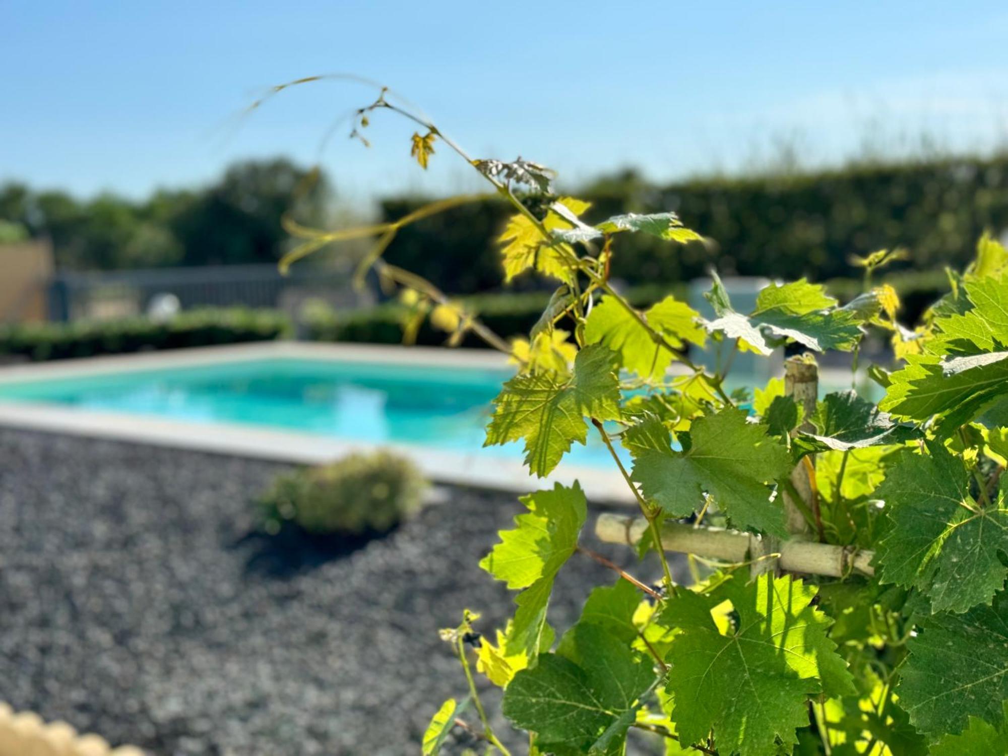 Hébergement de vacances Sun Holidays